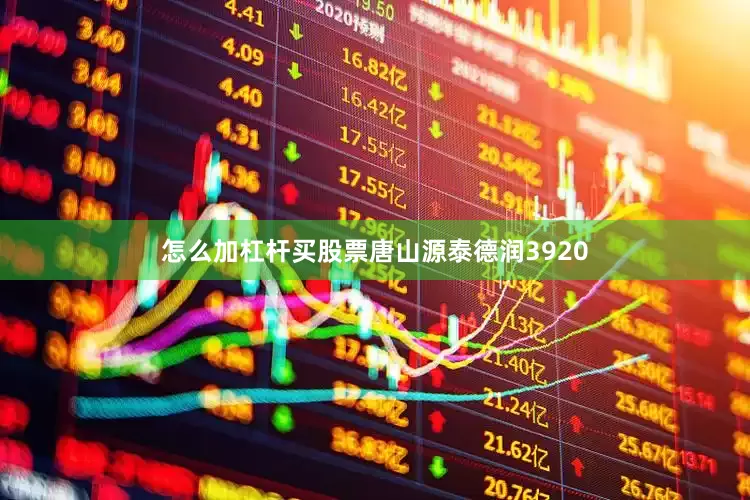 怎么加杠杆买股票唐山源泰德润3920