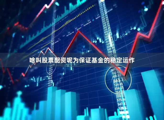 啥叫股票配资呢为保证基金的稳定运作