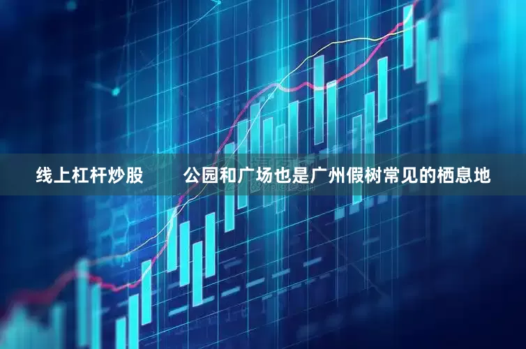 线上杠杆炒股        公园和广场也是广州假树常见的栖息地